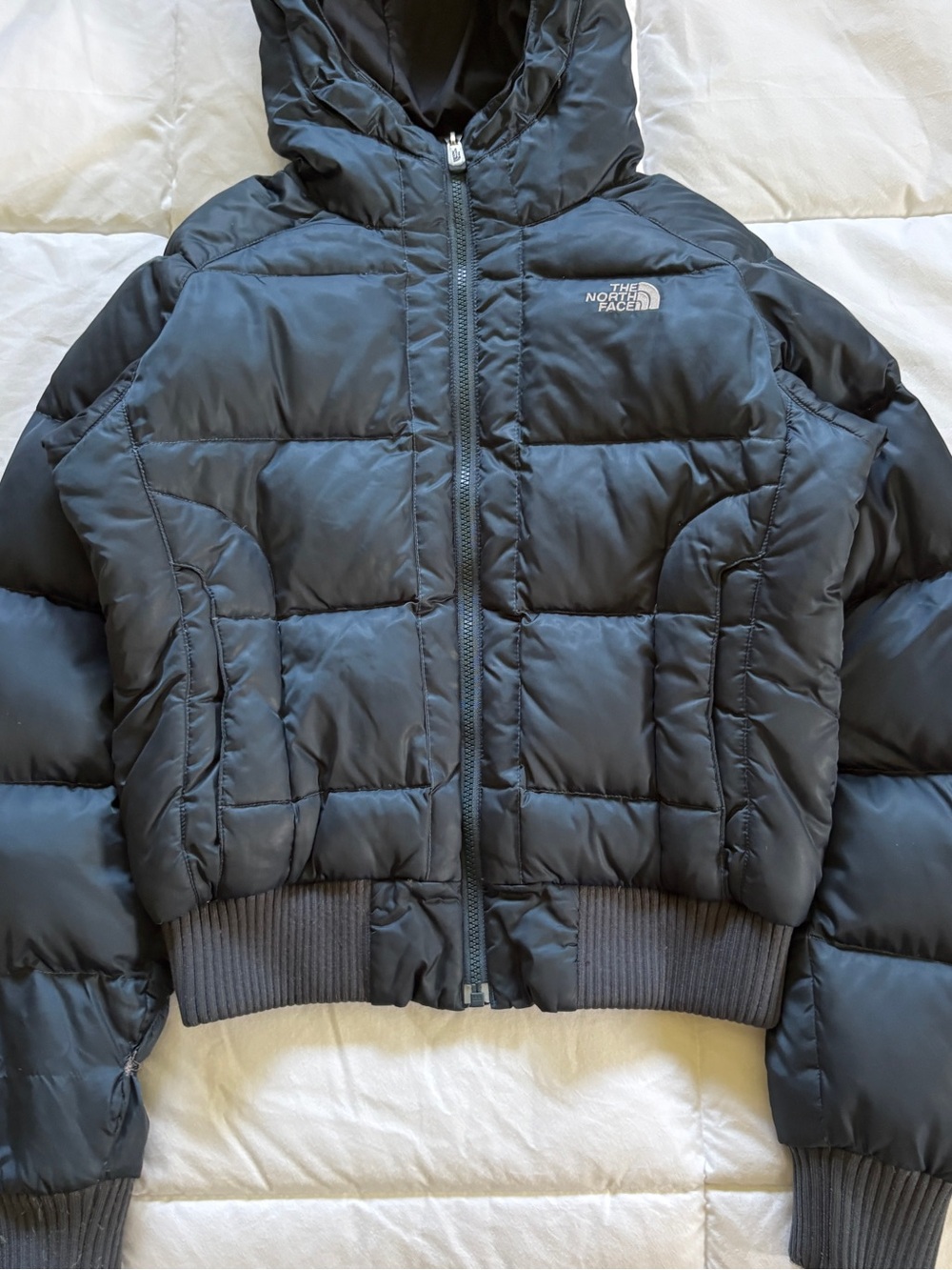NorthFace 550 Puffer Jacket